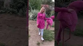 Розовый фламинго🦩