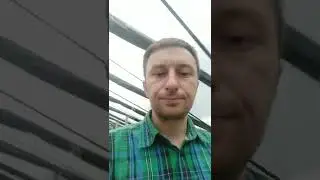 рассада клубники клери, мурано, альба. Не дорогой вариант