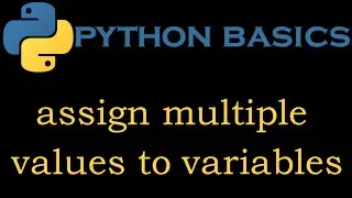 Python Basics  3 # Assign Multiple Values To Variables