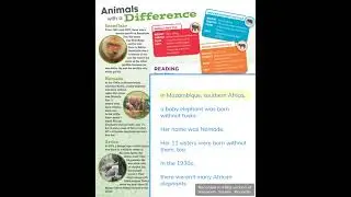 Own It 1 Unit 7 Reading