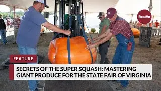 Secrets of the Super Squash: Mastering Giant Produce for the State Fair of Virginia