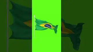 Green Screen Brazil Flag || Brazil Flag Animation #chromakey #animation #video #flag #viralreels