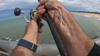 Never Stopped, Big Tarpon