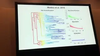 Černý: Inferring macroevolutionary dynamics of extinct clades, a test using bird hipped dinosaurs