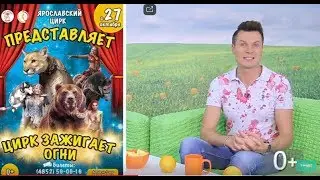 Выставка-продажа 