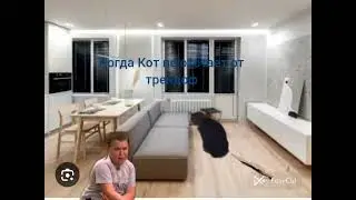 когда кот не отстаёт от трендов