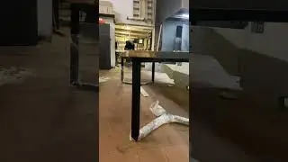 Огромный стол для переговорной от Space House