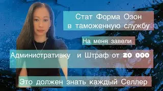 Стат Форма Озон. Не заполняйте, пока это не посмотрите! 1 ошибка и штраф от 20 000