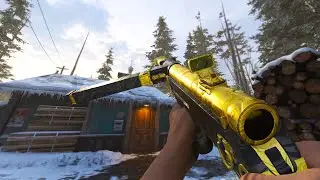 This is the Vanguard AS VAL