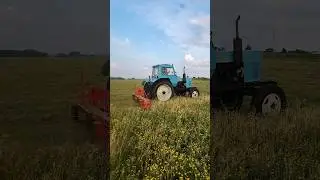 Сенокос 2024