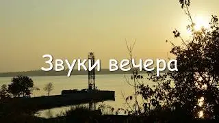 Звуки вечера