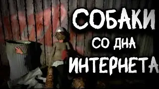 Самая проклятая игра про собак
