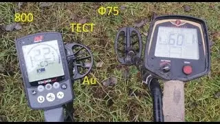 Эквинокс 800 VS Фишер 75 тест на ЗОЛОТО