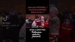 Шпак и Джигурда. Ринг мма