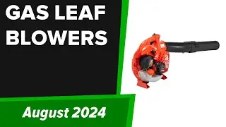 TOP-6. Best Gas Leaf Blowers 2024