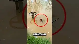 HEWAN APAKAH INI? NYARIS MATI‼️