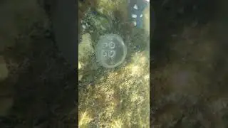Samsung видео под водой