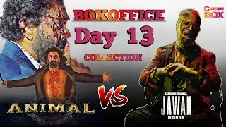 Animal vs jawan 13 day box office collection report worldwide