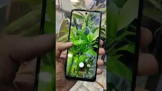 moto g60 