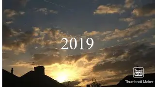 2019 /// Floral Notes ///