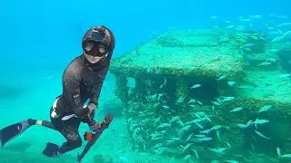 Spearfishing Underwater WRECK in MIAMI Florida