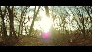 Canon T3i Cinematic Footage