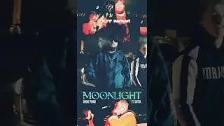 #moonlight 🌔 ft: @skiter26x56 ✖️@smokepanda818 | out now ❗️