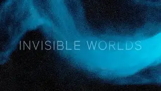 Invisible Worlds Now Open at the American Museum of Natural History