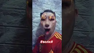 #долинов #волк #повар