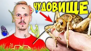 30 НЕВЕРОЯТНИ ФАКТА за НАСЕКОМИТЕ