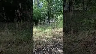 #юлякобяшова #вдохновение