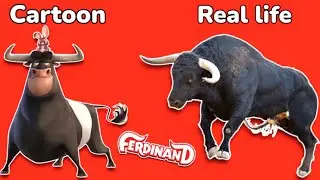 Ferdinand Characters in real life 💥