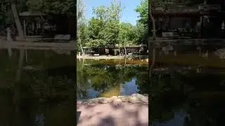 Пруд в парке Горького в городе Мелитополь