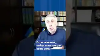 Естественный отбор тоже сыграл свою роль. 