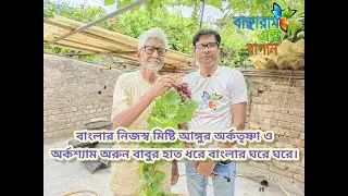 বাংলার মিষ্টি আঙ্গুর অরুণ বাবুর হাত ধরে বাংলার ঘরে ঘরে/ছাদে মিষ্টি আঙ্গুর চাষ/@Banchharamerbagan