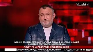 Украинские «эксперты» режима