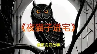《夜猫子进宅》