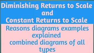 Decreasing/Diminishing Returns to Scale and Constant Returns to Scale