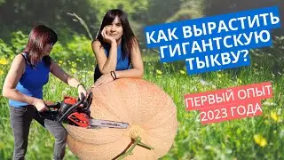 Гигантская тыква-2023 весом 200 кг