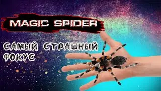 САМЫЙ СТРАШНЫЙ ФОКУС!🕷 ФОКУС ОТ MAGIC FIVE! MAGIC SPIDER MAGIC APP!!!! #MAGICFIVE #M5