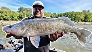 GIANT Fall River Walleye- Plastics and Minnows