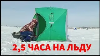 Рыбалка в разрезе.