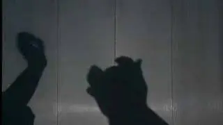 Duck vs Dog