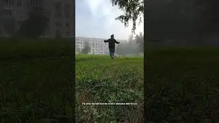 что бывает на прогулке с собакой шпицом