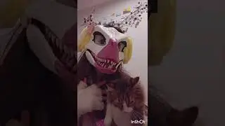 #роблокс  #фурри  #котики  #раптор