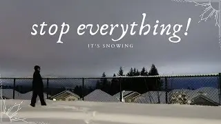 Stop Everything! It's Snowing