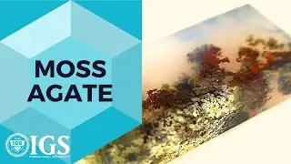 Unveiling the Mysteries of Moss Agate: A Gemstone Revelation