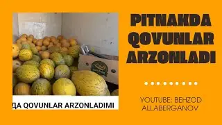 QOVUNLAR ARZONLADIMI