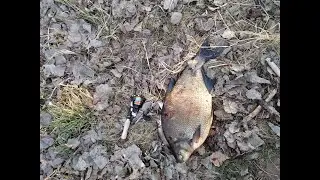 Свислочь. Мормышинг.