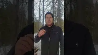 Как отвадить от себя дикое животное! 